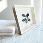 Porcelain Glazed Shell Beach Art: Mussels, thumbnail 5 of 10