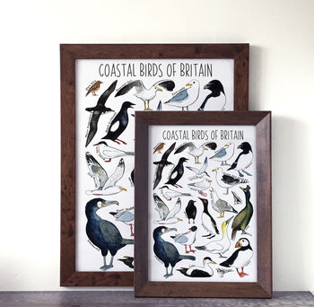 Coastal Birds Of Britain Wildlife Watercolour Print, 6 of 6