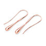 Rose Gold Plated Single Drop Earrings, thumbnail 1 of 3