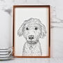 Personalised Pet Portrait Drawings, thumbnail 5 of 11