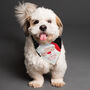 Personalised Santa Dog Bandana, thumbnail 1 of 3