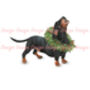 Dachshund 'Happy Howlidays' Illustrated Christmas Card, thumbnail 5 of 6