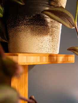 Bamboo Double Plant Shelf, 3 of 3