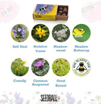 Wildflower Seeds For British Bees Collection Of Six Mixes, 9 of 12