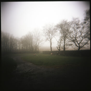 Fog, The Lake District, 2 of 11