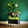 Black Oval Metal Planter Stand, thumbnail 4 of 8
