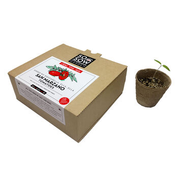San Marzano Tomato Grow Your Own Kit, 4 of 9