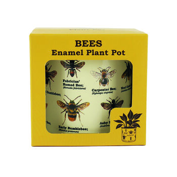 Bee Enamel Plant Pot, 5 of 6