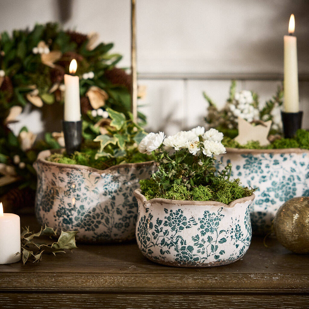 Set Of Three Fiorella Teal Botanical Planters, 1 of 6