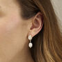 Nautilus And Pearl Shell Stud Earrings, thumbnail 1 of 5