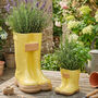 Personalised Set Of Two Yellow Welly Boots Planters Gift, thumbnail 1 of 8