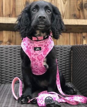 Dog Harness | Pink Princess, 2 of 12