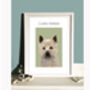 Cairn Terrier Print, thumbnail 1 of 2