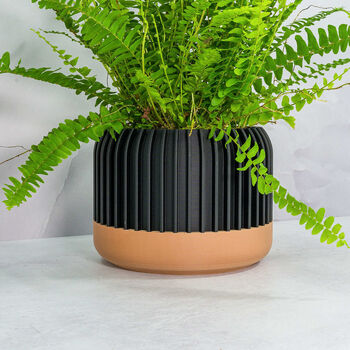 Carbon Linear Planter, 3 of 4
