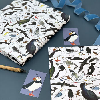 Coastal Birds Of Britain Wrapping Paper Set, 7 of 9