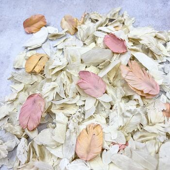 Ivory And Coral Wedding Confetti | Biodegradable Petals, 2 of 3