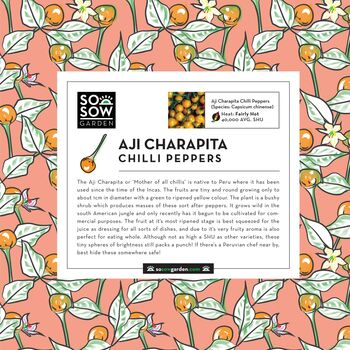 Grow Your Own Cock And Balls, 40 Chilli Pepper Seeds, Rude Gift, Hen Party Gift, Funny Pride Present, 7 of 9