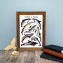 Dolphins Of Britain Wildlife Print, thumbnail 9 of 9