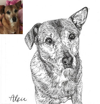 Personalised Pen And Ink Pet Portrait, 6 of 10