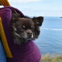 Dog Carrier Woollen Luxury, thumbnail 6 of 7
