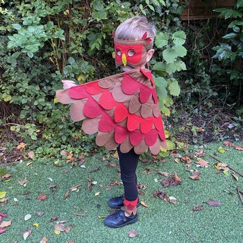 Red Robin Bird Costume For Kids And Adults, 7 of 10