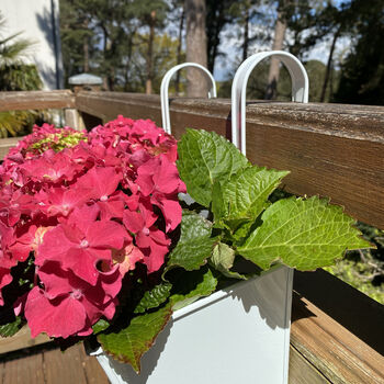 Pair Of Ice White Hanging Balcony Planters, 3 of 7