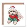 Cockapoo Cavapoo Bichon Dog Lover Christmas Card, thumbnail 1 of 4