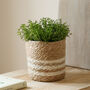 Jute Plant Pot With White Stripes, thumbnail 2 of 5