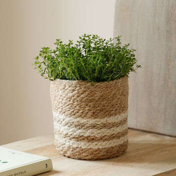 Jute Plant Pot With White Stripes, 2 of 5