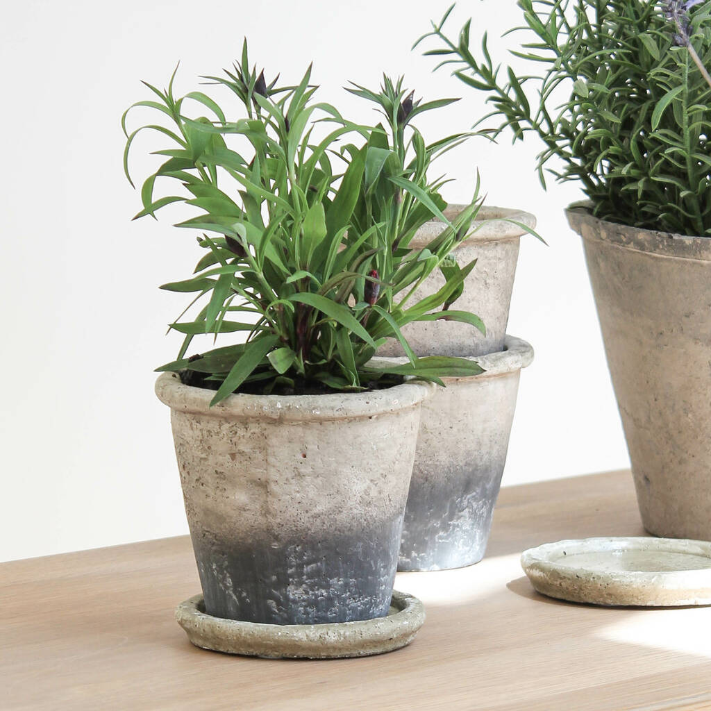 Small Grey Plant Pot And Saucer By Marquis & Dawe | notonthehighstreet.com