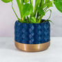 Midnight Hexa Planter, thumbnail 1 of 4