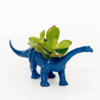 Diplodocus Dinosaur Planter With A Plant, 4 of 8