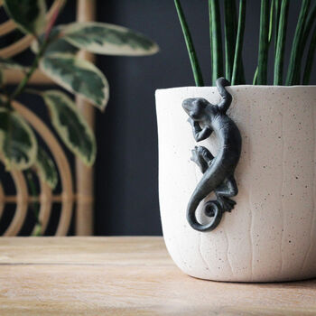 Gecko Pot Hanger, 5 of 5