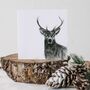 Stag Wildlife Greeting Card, thumbnail 7 of 7