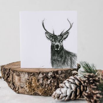 Stag Wildlife Greeting Card, 7 of 7