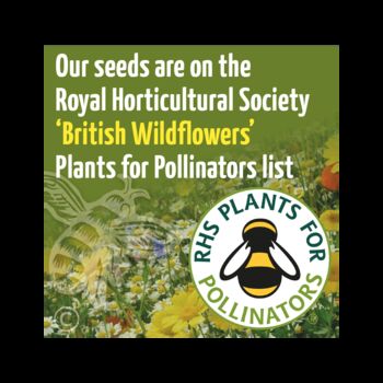Two Pack Of Bee And Butterfly Friendly Seeds, 3 of 4