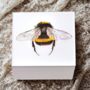 Square Glass Trinket Box With Bumble Bee Design, thumbnail 1 of 2