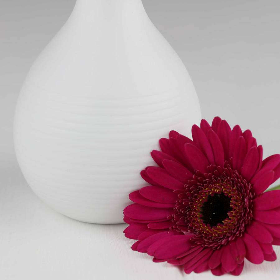 porcelain engraved flower vases by nest