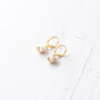 Gold Plated Shell Earrings, thumbnail 3 of 10