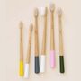 Truthbrush Plastic Free Bamboo Toothbrushes, thumbnail 1 of 12