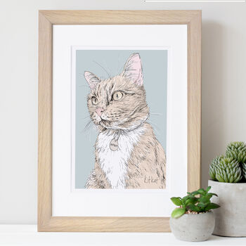 Personalised Hand Drawn Pet Cat Portrait, 5 of 12