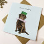Festive Chocolate Labrador Christmas Card, thumbnail 2 of 2