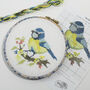 Blue Tit And Blossom Cross Stitch Wall Hanging Kit, thumbnail 1 of 12
