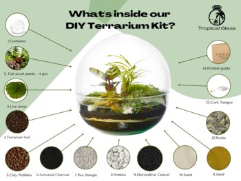 Tropical Closed Terrarium Kit | 'Athens', 5 of 10