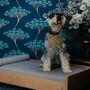 Wooden Dog Bed Solid Oak, thumbnail 3 of 12
