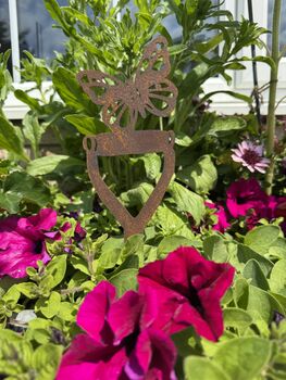 Butterfly Decoration Gift Present For Home Or Garden, 7 of 7