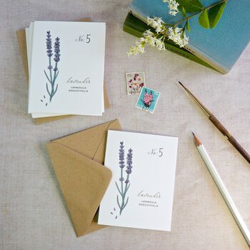 Set Of Six Botanical Wildflower Mini Notecards, 6 of 7