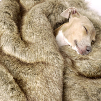 Foxy Faux Fur Pet Blanket, 3 of 4