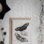 Set Of Four Butterfly Cards – Vintage Illustration Mix, thumbnail 7 of 12