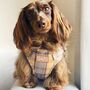 Check Him Out Step In Dog Harness, thumbnail 1 of 11